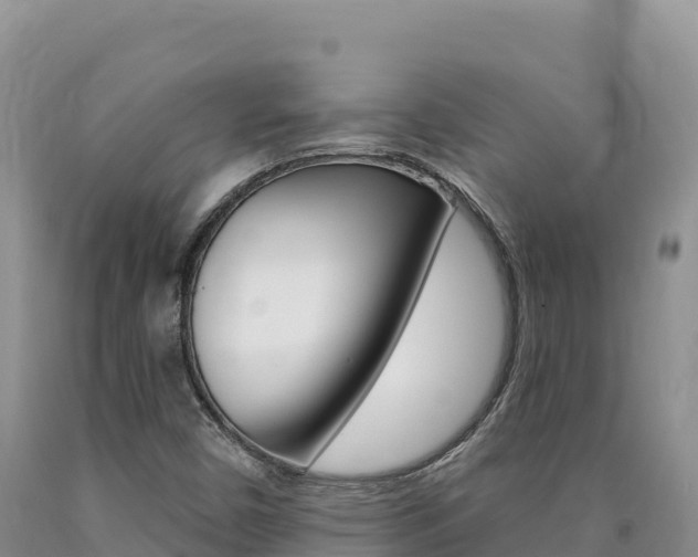 X0000090891450200707271028