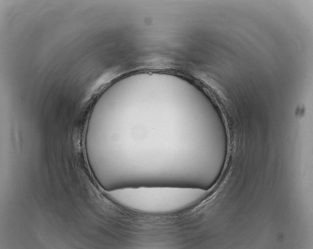 X0000090891451200707271028