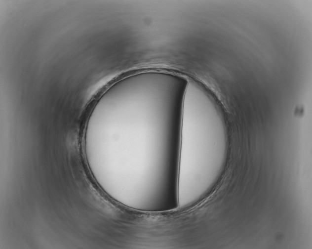 X0000090891452200707271028