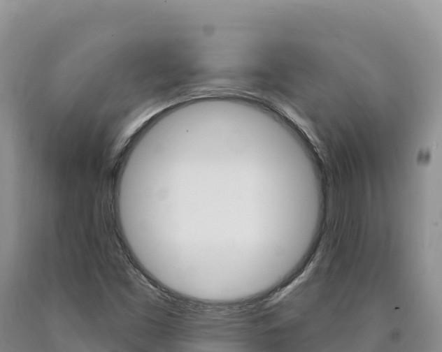 X0000090891453200707271028
