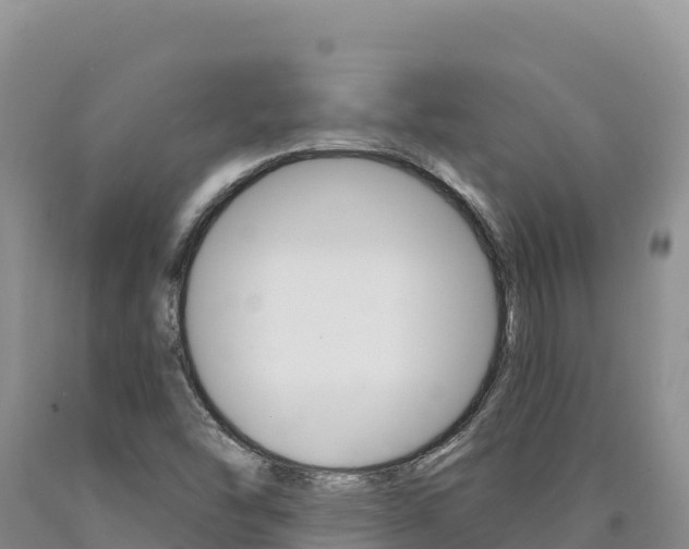X0000090891454200707271028