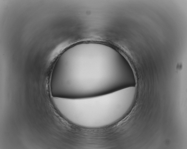 X0000090891455200707271028