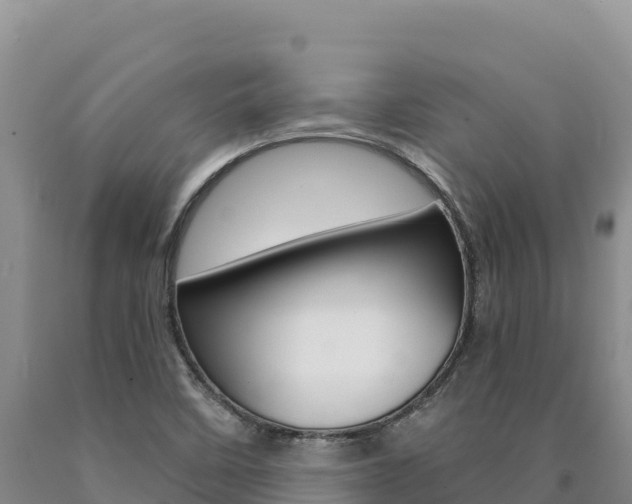 X0000090891458200707271028