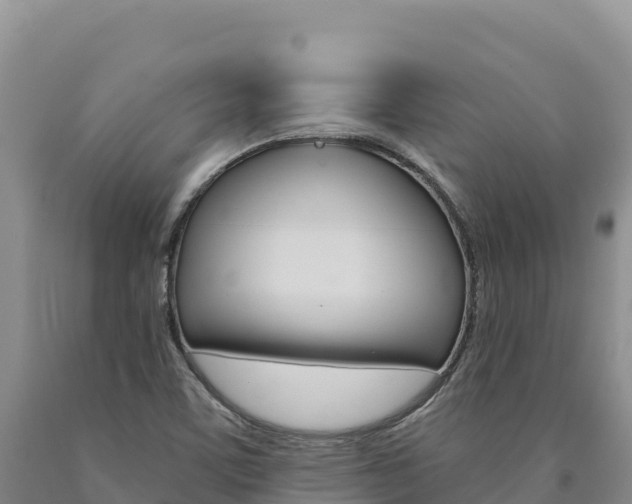 X0000090891459200707271028