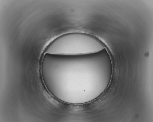 X0000090891460200707271028