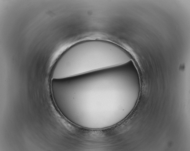 X0000090891464200707271028