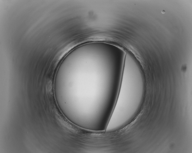 X0000090891465200707271028