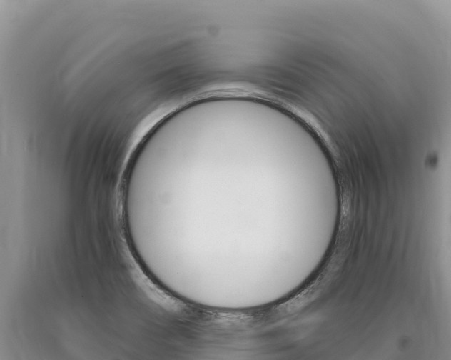 X0000090891466200707271028