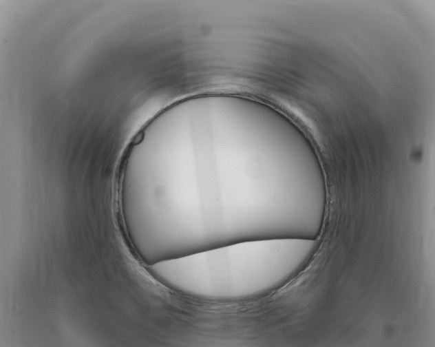 X0000090891467200707271028