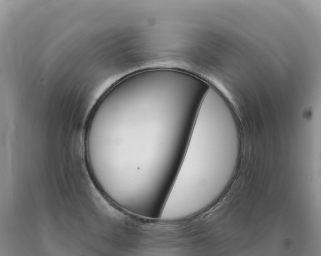 X0000090891468200707271028