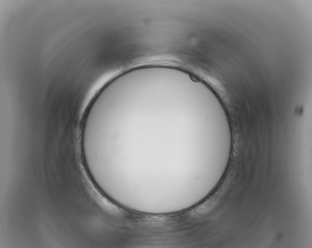 X0000090891470200707271028