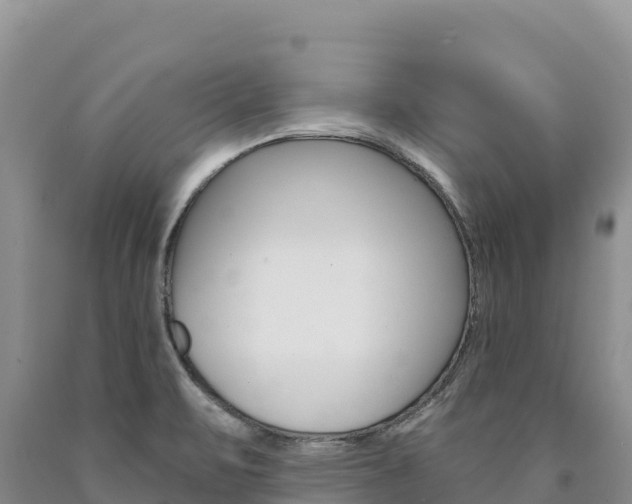 X0000090891471200707271028