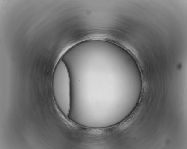 X0000090891473200707271028