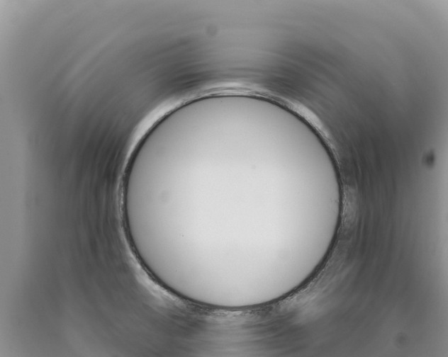 X0000090891474200707271028