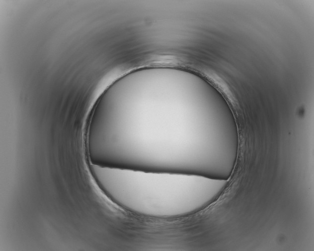 X0000090891475200707271028