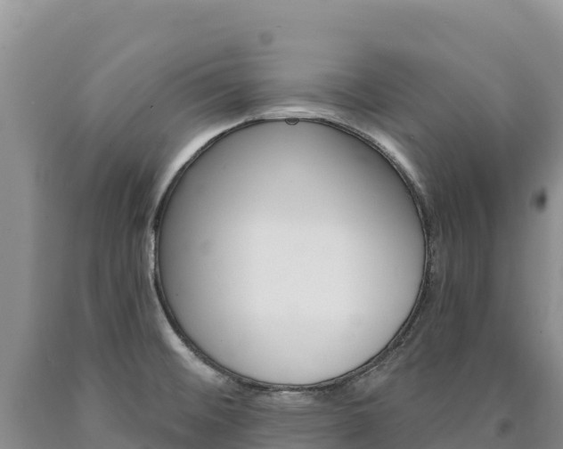 X0000090891476200707271028