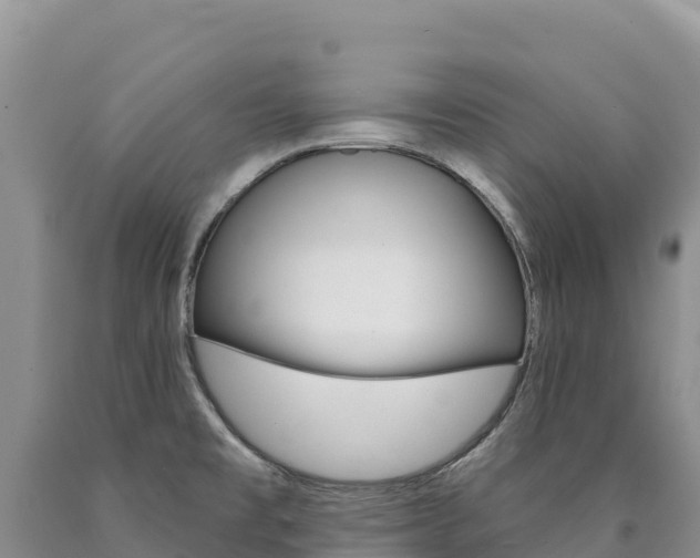 X0000090891477200707271028