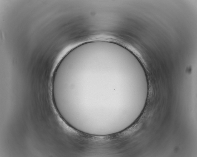 X0000090891478200707271028