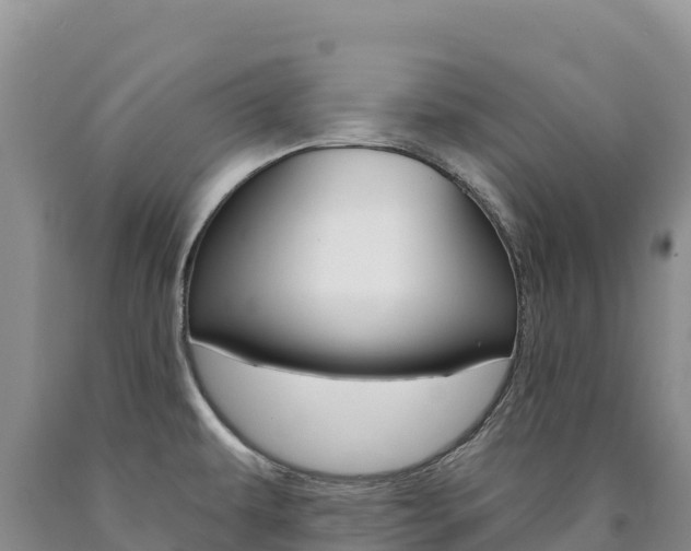 X0000090891479200707271028