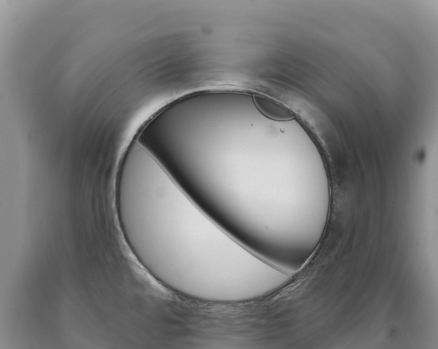 X0000090891480200707271028
