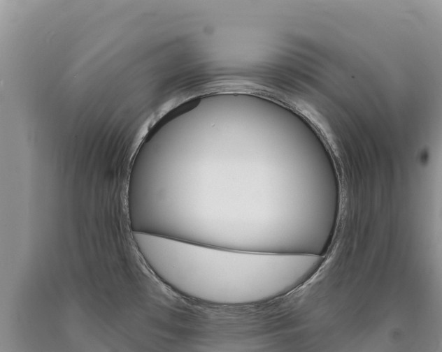 X0000090891481200707271028