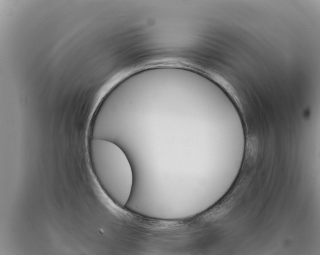 X0000090891482200707271028