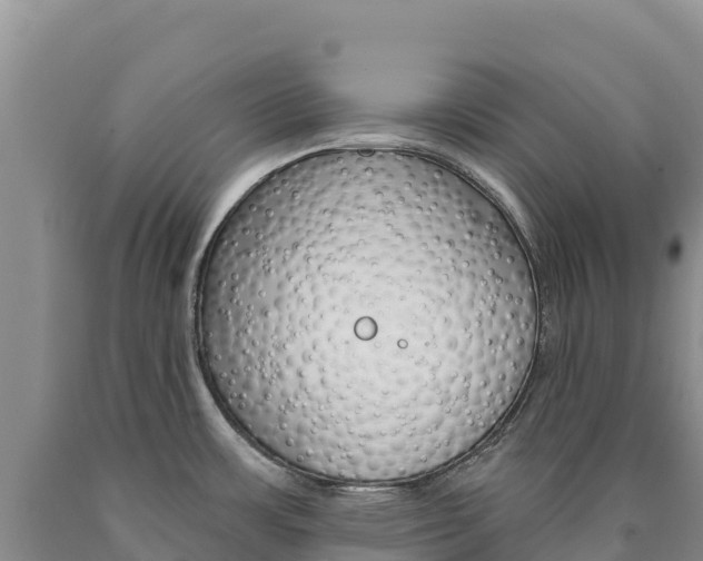 X0000090891483200707271028