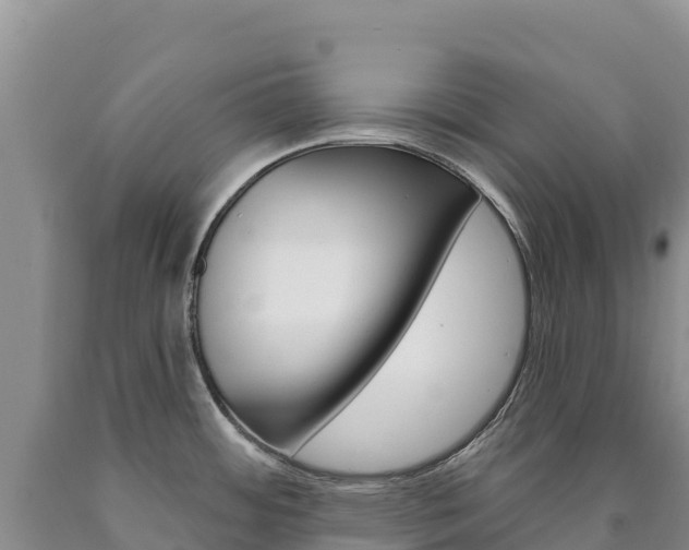 X0000090891484200707271028
