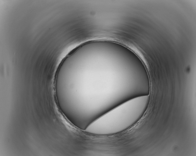 X0000090891485200707271028