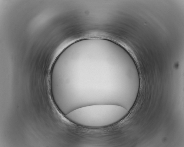 X0000090891486200707271028