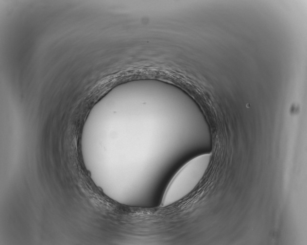 X0000090891489200707271027