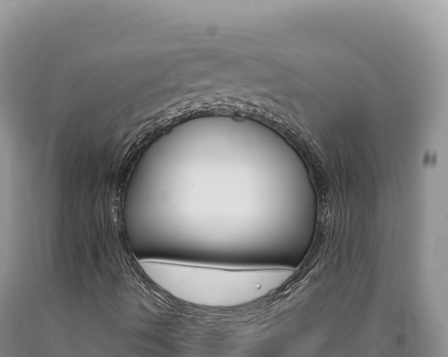 X0000090891490200707271027