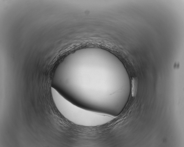 X0000090891491200707271027