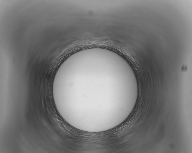 X0000090891492200707271027