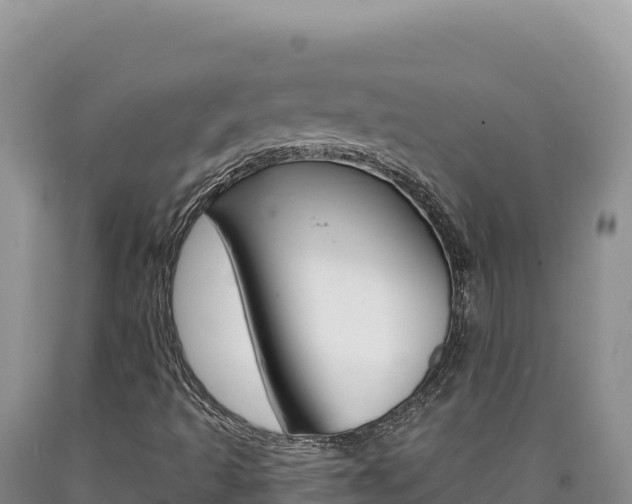 X0000090891493200707271027