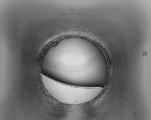 X0000090891494200707271027