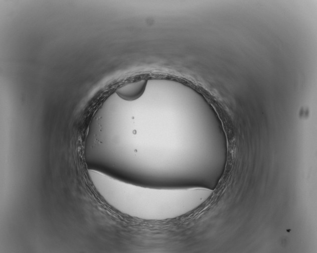 X0000090891495200707271027