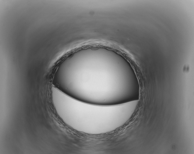 X0000090891496200707271027