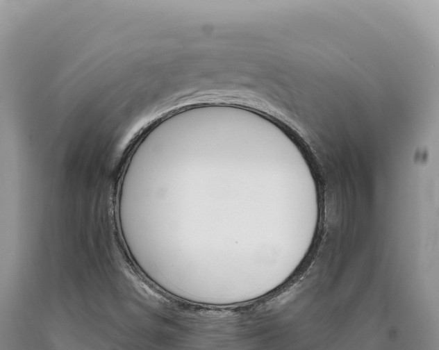 X0000090891498200707271027