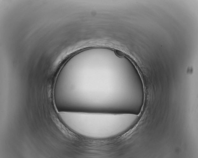 X0000090891499200707271027