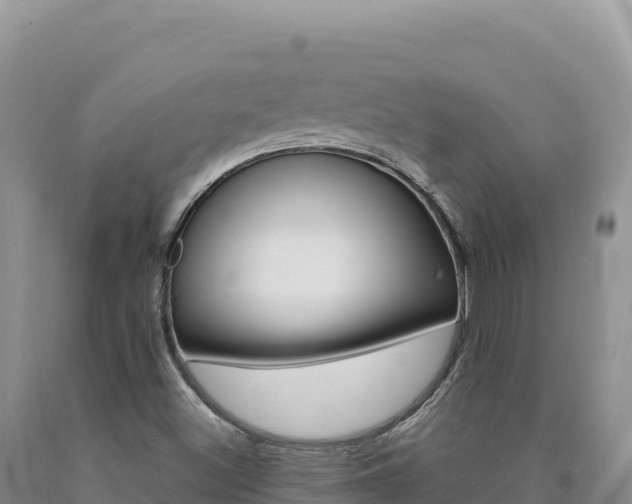 X0000090891500200707271027