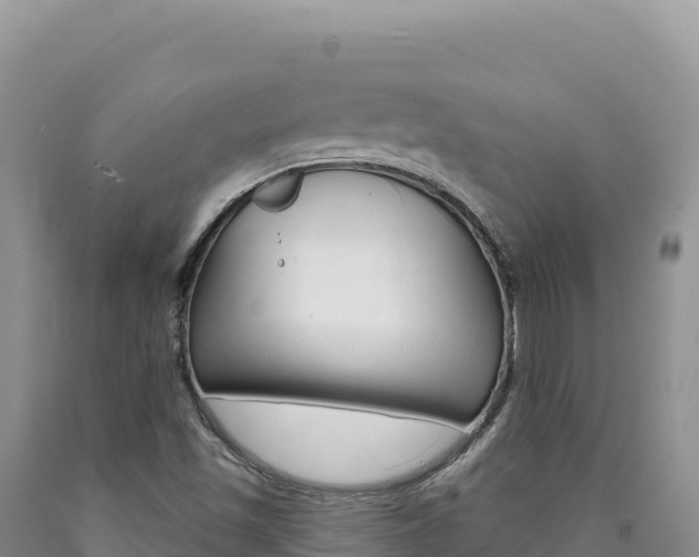 X0000090891501200707271027
