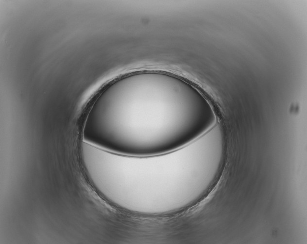 X0000090891502200707271027