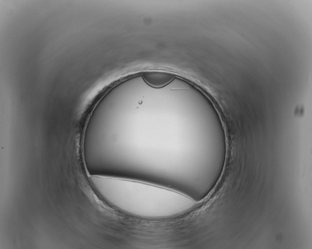 X0000090891503200707271027