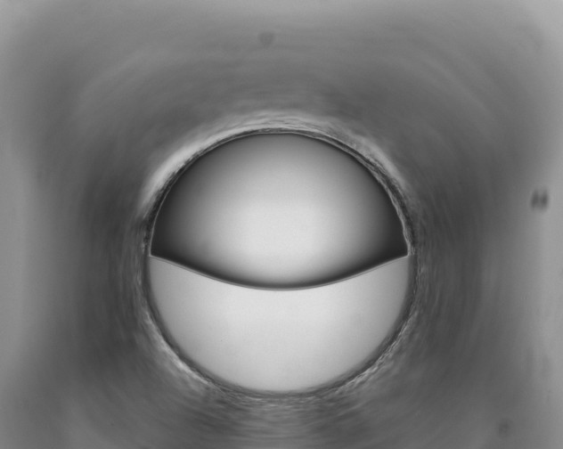 X0000090891504200707271027