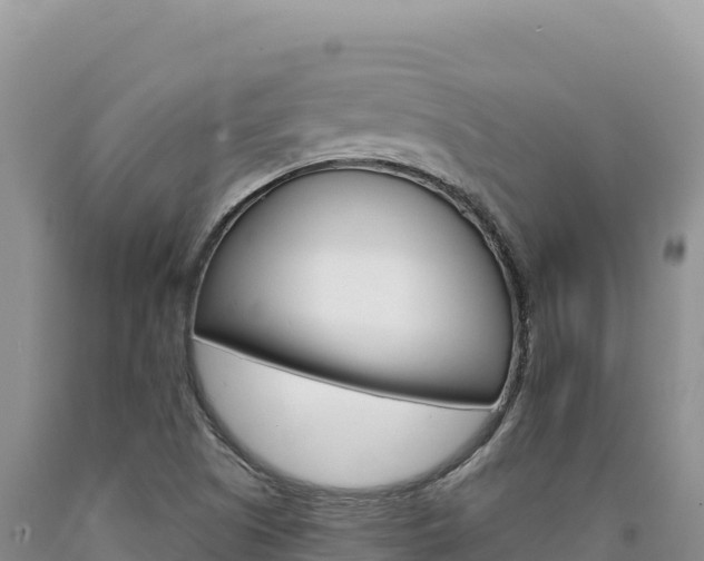 X0000090891505200707271027