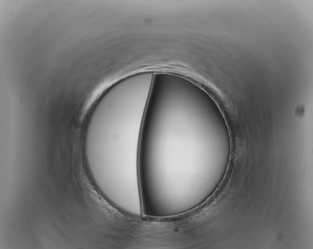 X0000090891506200707271027