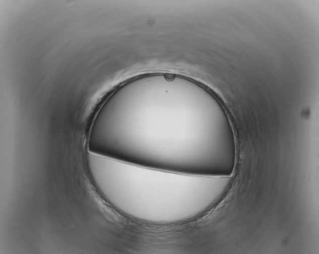 X0000090891507200707271027