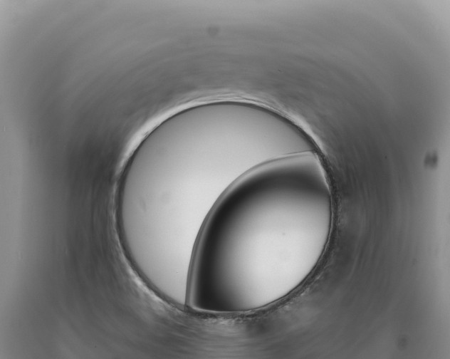 X0000090891508200707271027