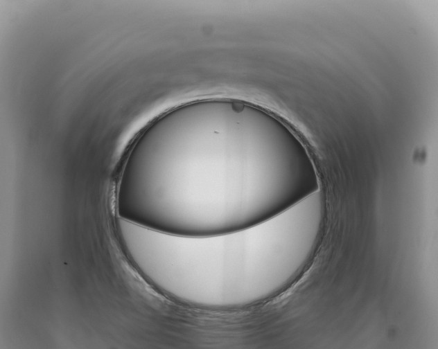 X0000090891510200707271027